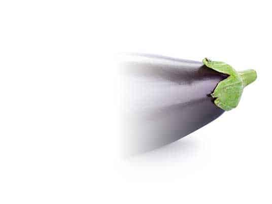 aubergine_konzept_entwicklung